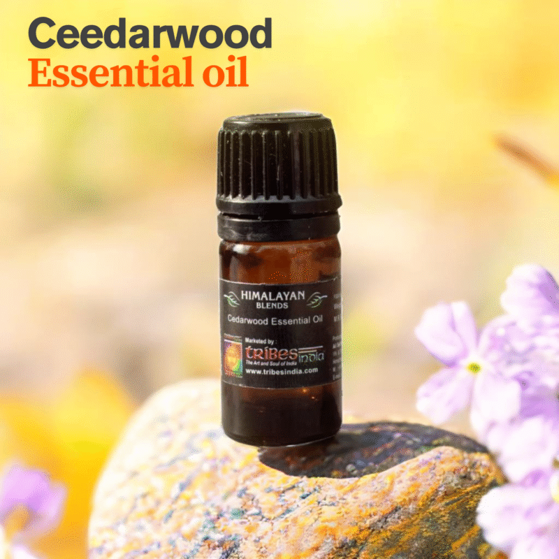 "Cedarwood essential oil bottle with Himalayan cedar cones and branches" "Pure cedarwood oil for aromatherapy and skincare" "Steam-distilled cedarwood essential oil from Himalayan forests" "Natural cedarwood essential oil used in diffuser for relaxation"